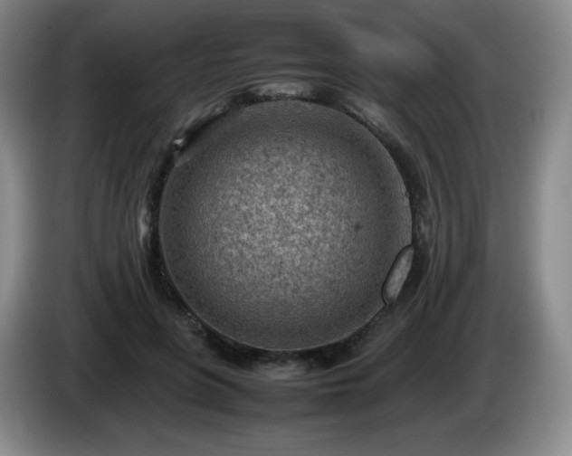 X0000085010551200703121524