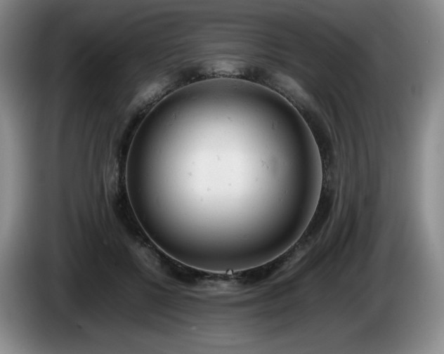 X0000085010552200703121524