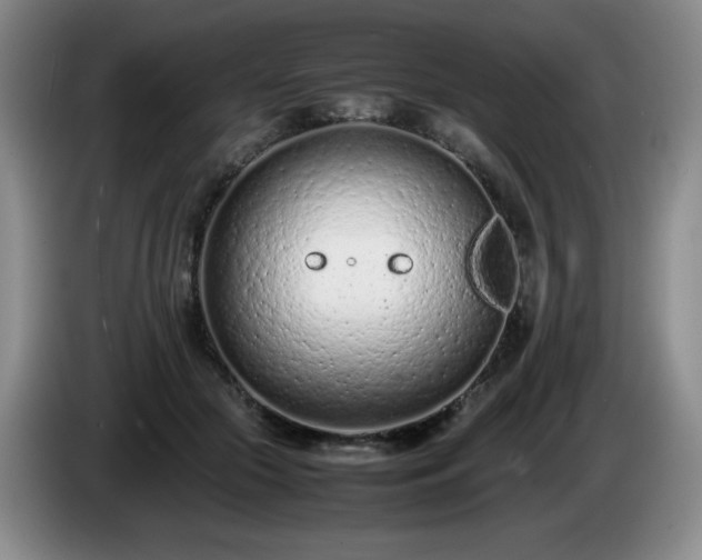 X0000085010553200703121524