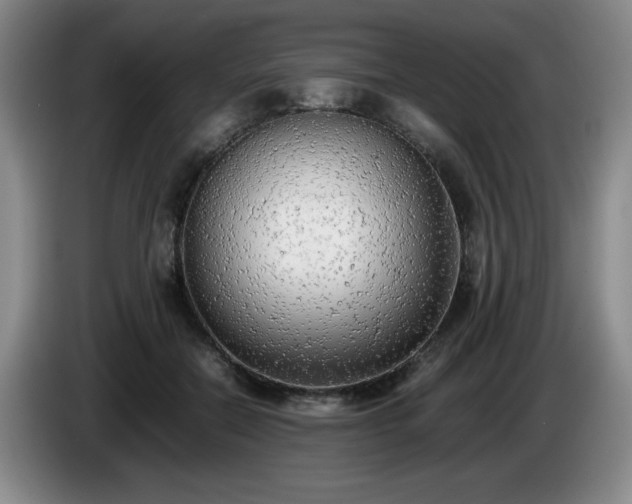 X0000085010554200703121524