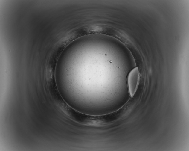 X0000085010555200703121524