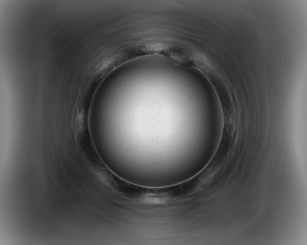 X0000085010556200703121524