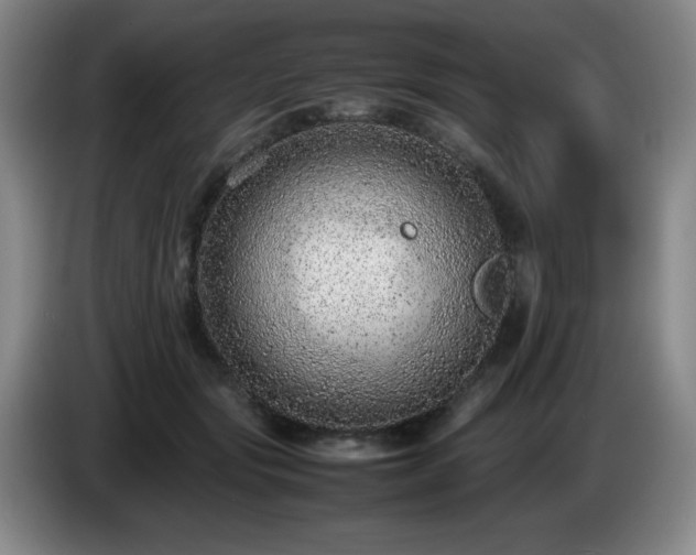 X0000085010557200703121524