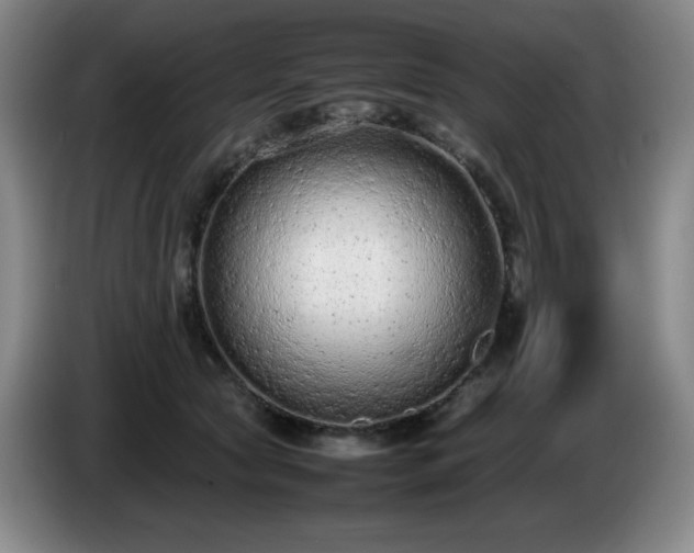 X0000085010561200703121524