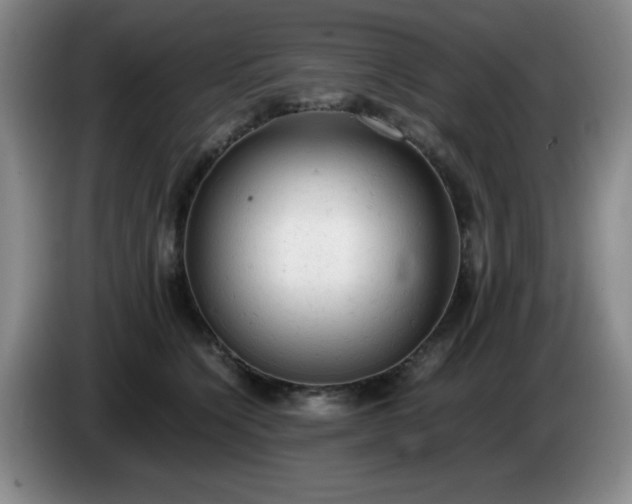 X0000085010564200703121524