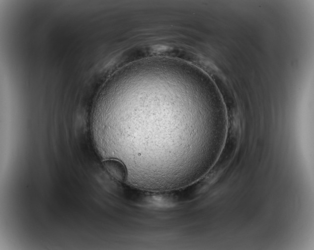 X0000085010565200703121524