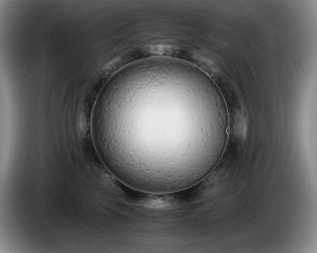 X0000085010569200703121524