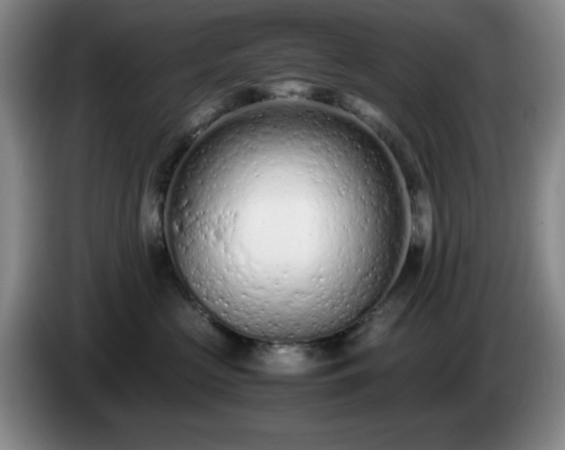 X0000085010573200703121524