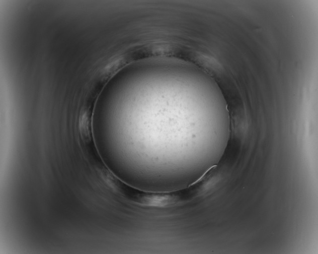 X0000085010575200703121524