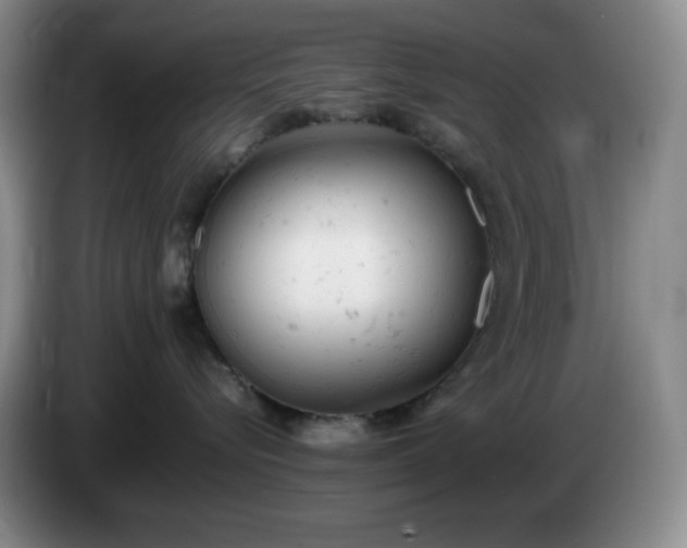 X0000085010576200703121524