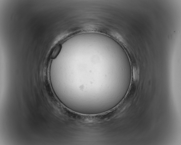 X0000085010579200703121523