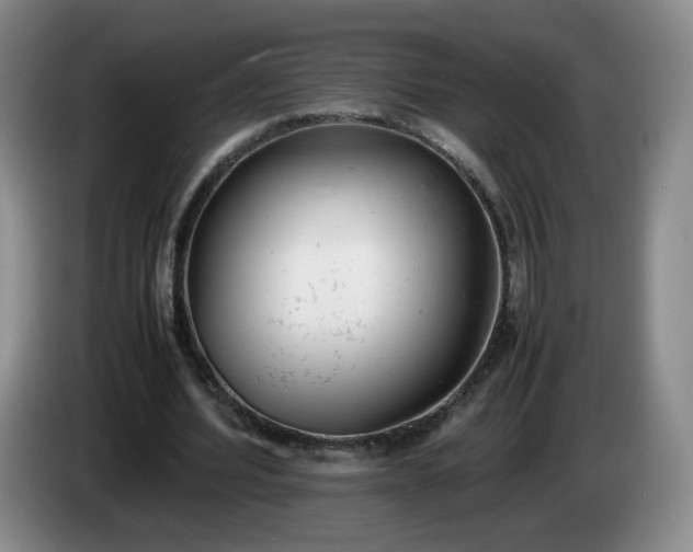 X0000085010580200703121523