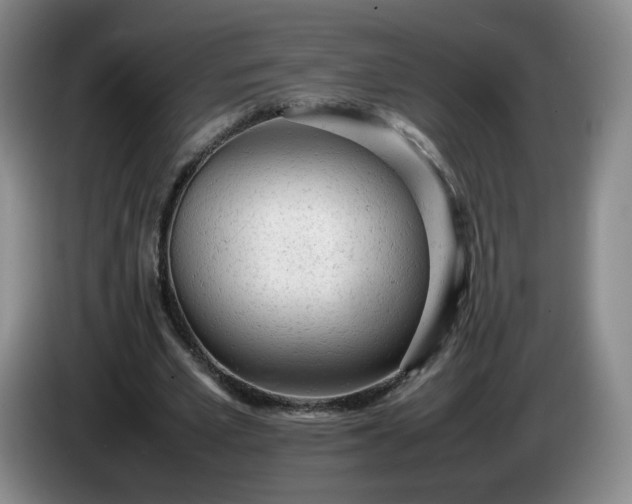X0000085010581200703121523