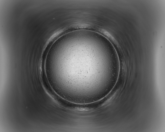 X0000085010582200703121523