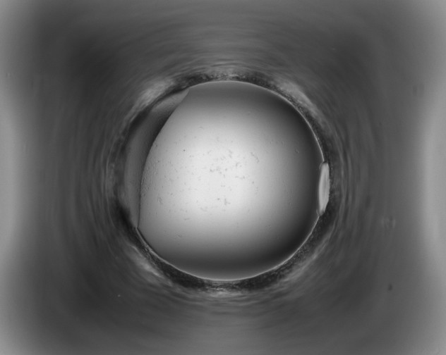 X0000085010585200703121523