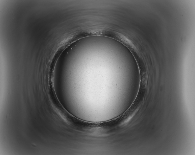 X0000085010589200703121523