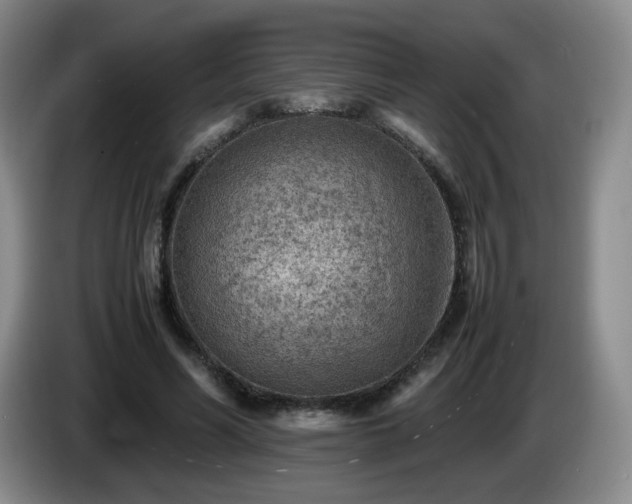 X0000085010590200703121523