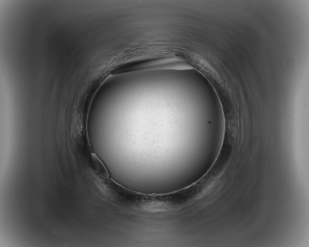 X0000085010593200703121523