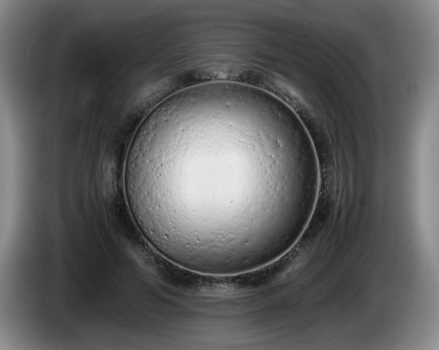 X0000085010594200703121523