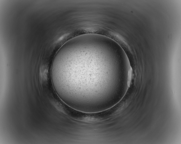 X0000085010596200703121523