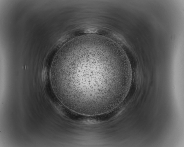 X0000085010598200703121523