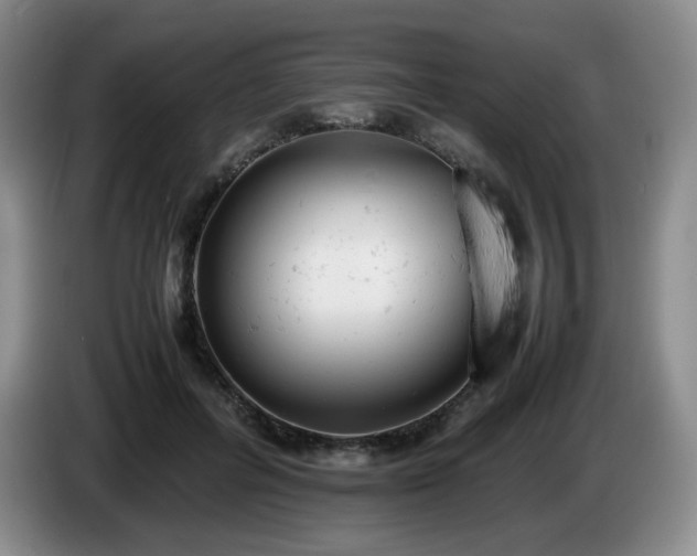 X0000085010600200703121523