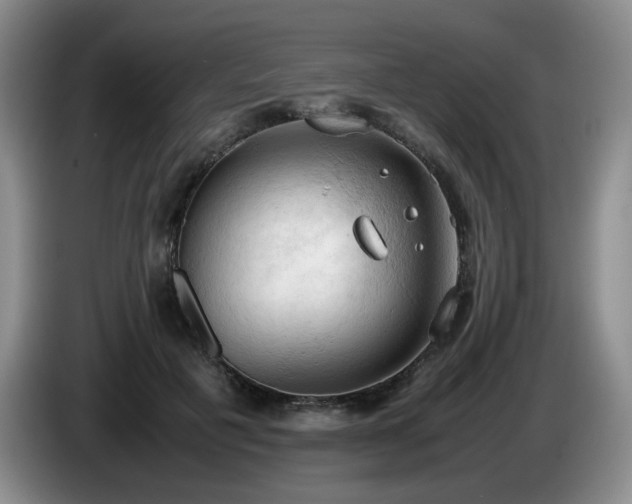 X0000085010601200703121523