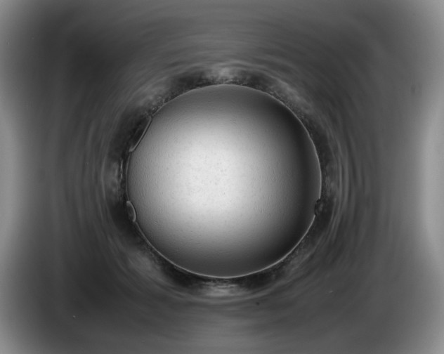 X0000085010605200703121523