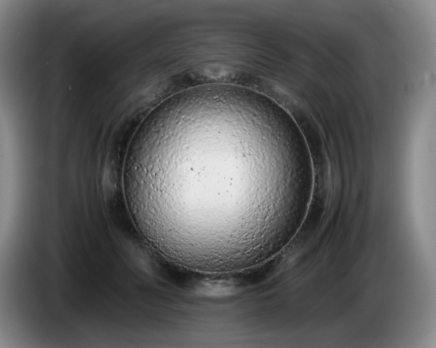 X0000085010606200703121523