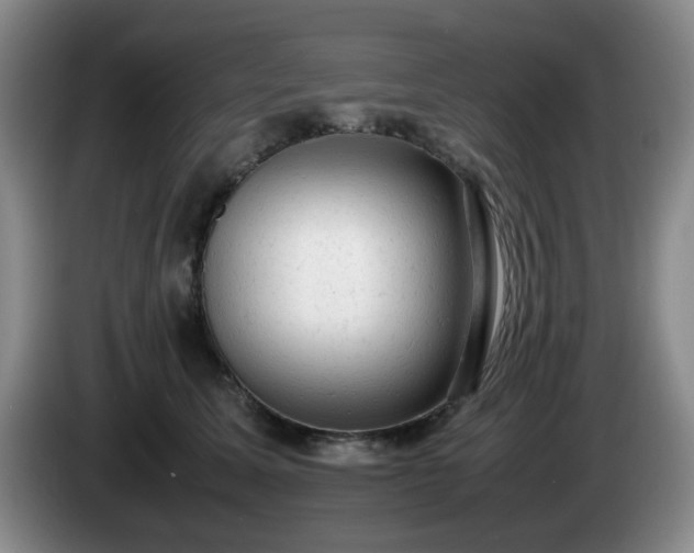 X0000085010611200703121523