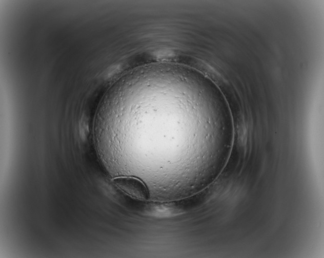 X0000085010618200703121523