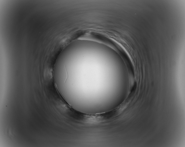 X0000085010621200703121523