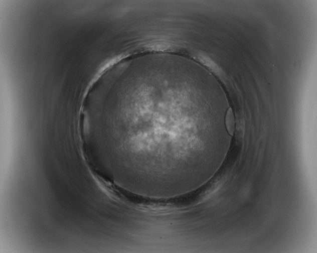X0000085010626200703121522