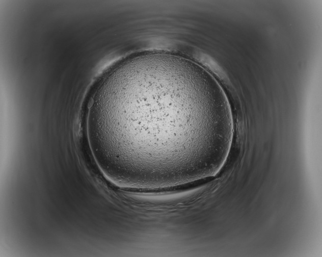 X0000085010628200703121522