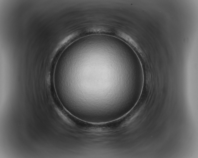 X0000085010629200703121522