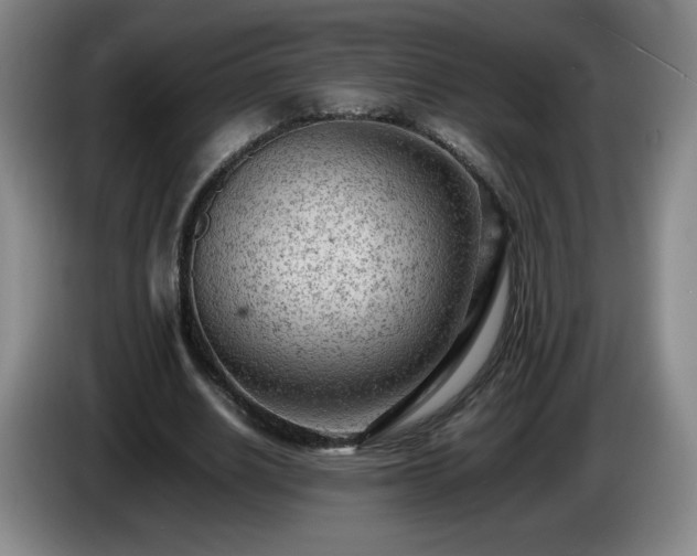 X0000085010630200703121522