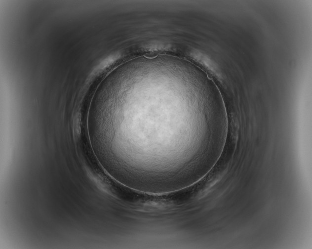 X0000085010631200703121522