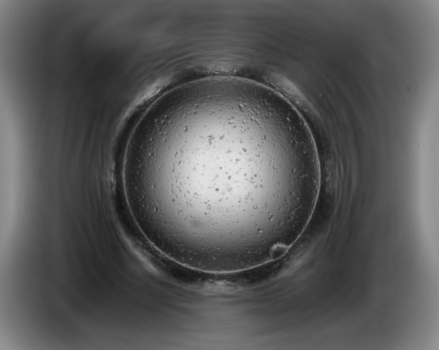 X0000085010634200703121522