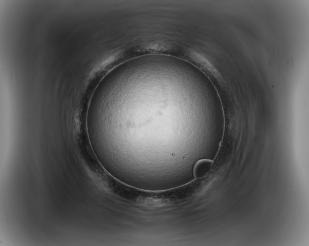 X0000085010635200703121522