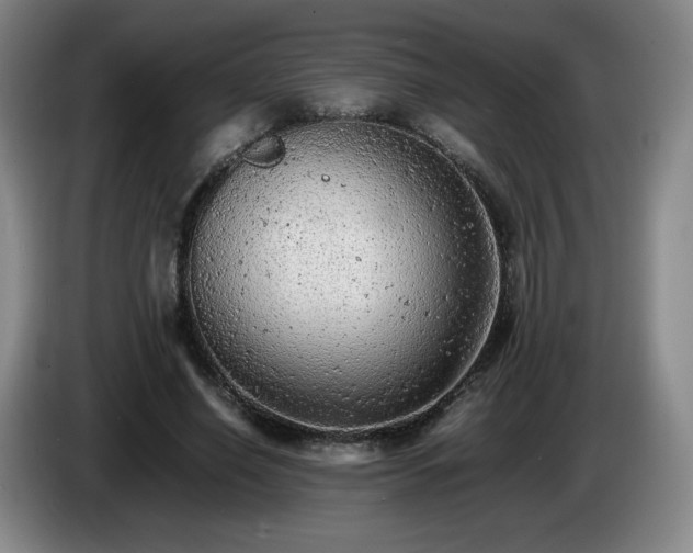 X0000085010638200703121522