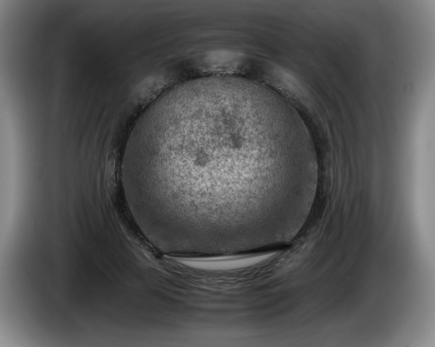 X0000085010641200703121522