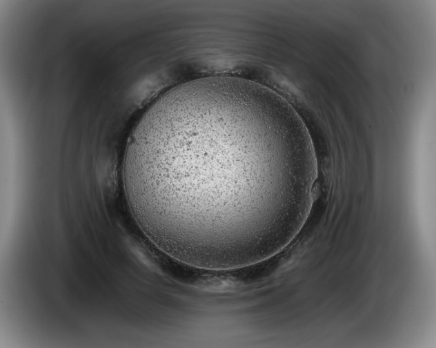 X0000085010642200703121522