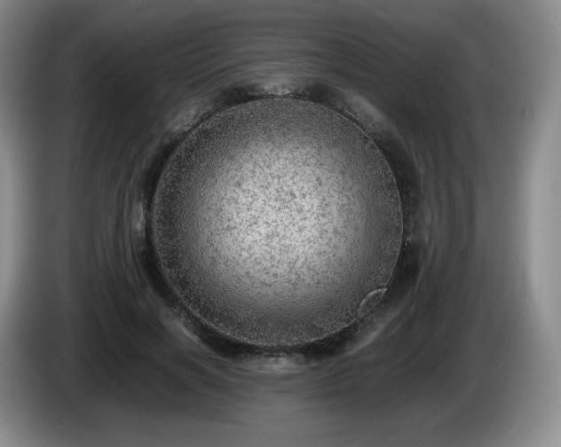 X0000085010646200703121522