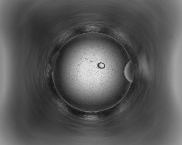 X0000085010649200703121522