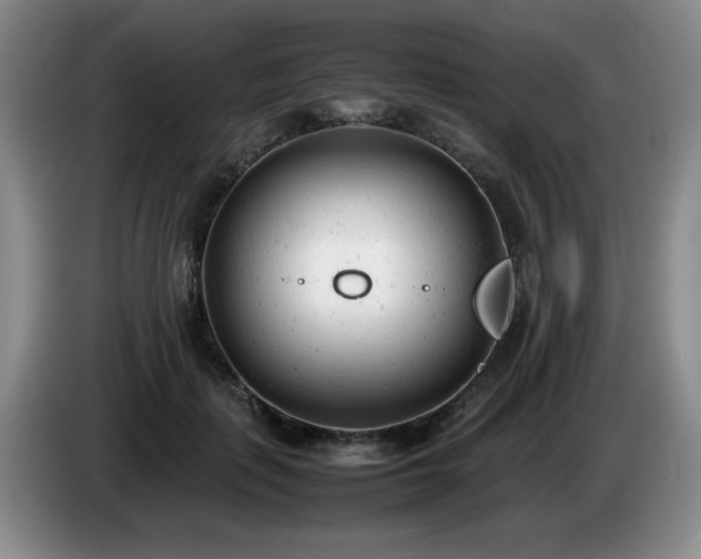 X0000085010651200703121522