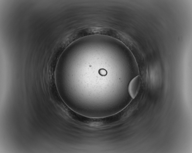 X0000085010653200703121522