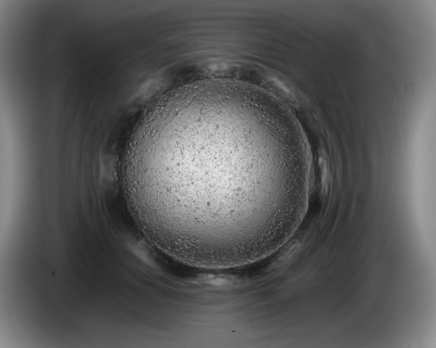 X0000085010654200703121522