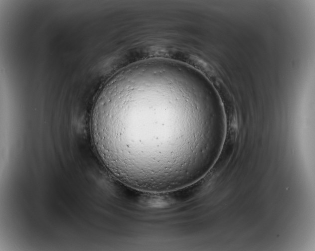 X0000085010663200703121523