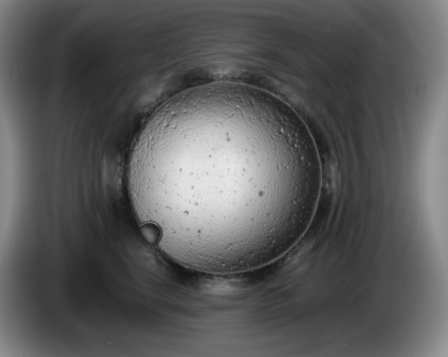 X0000085010664200703121523
