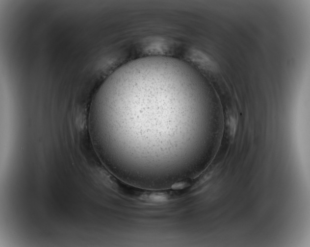 X0000085010665200703121523